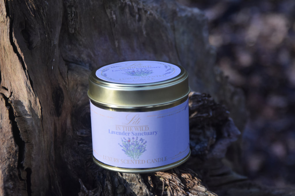 Lavender Sanctuary