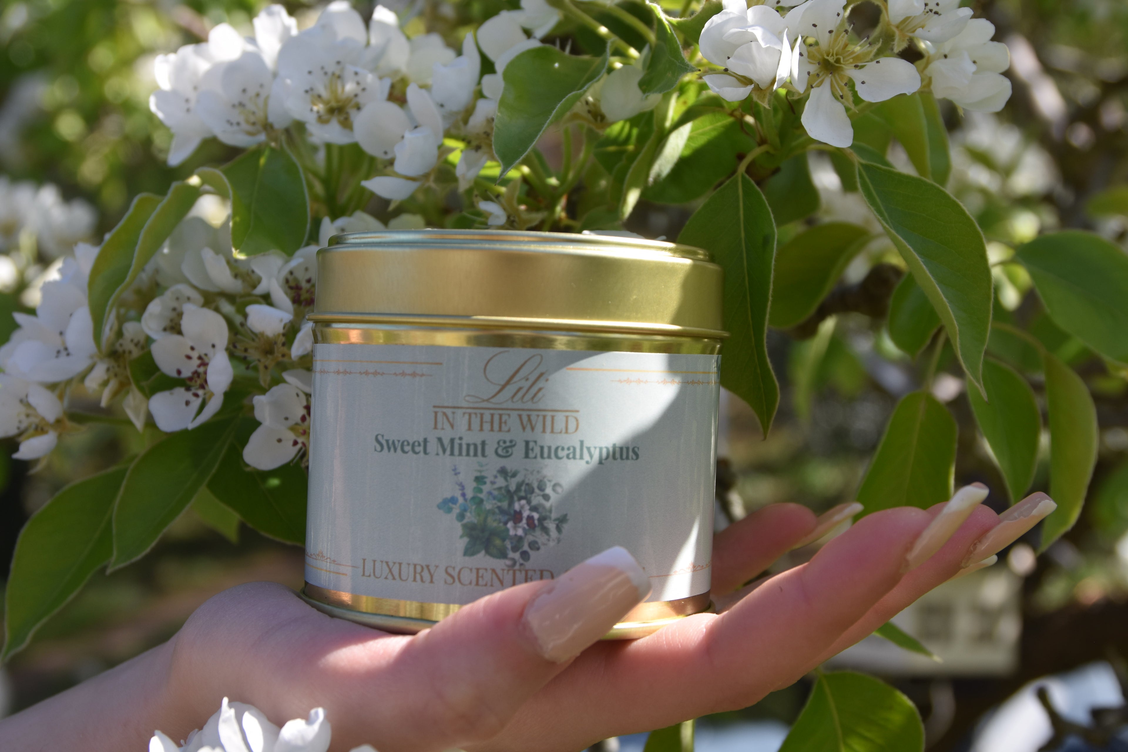 Sweet Mint & Eucalyptus