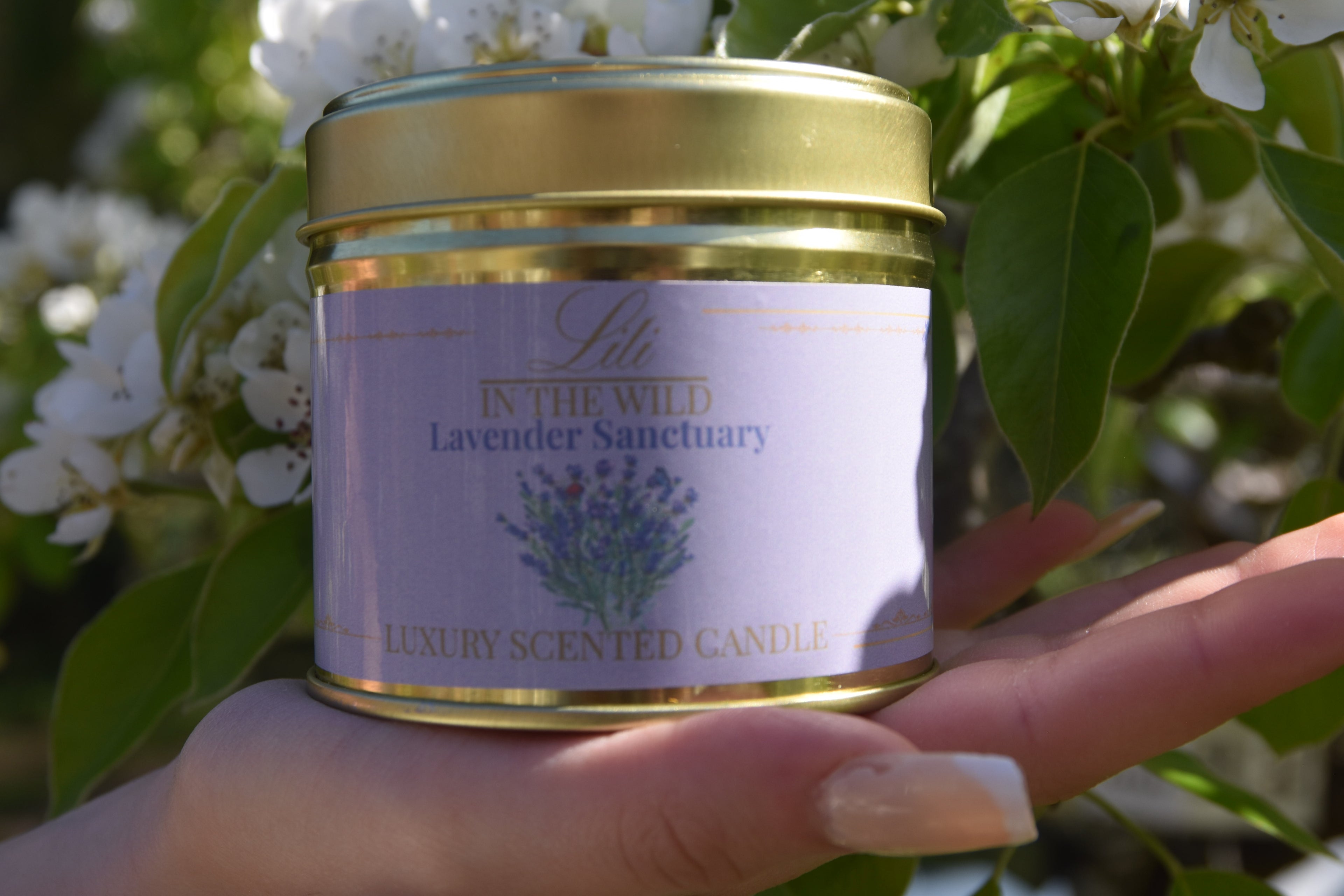 Lavender Sanctuary